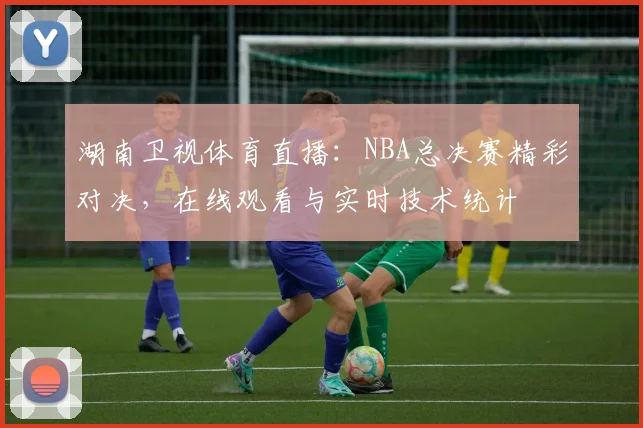 湖南卫视体育直播:NBA总决赛精彩对决,在线观看与实时技术统计